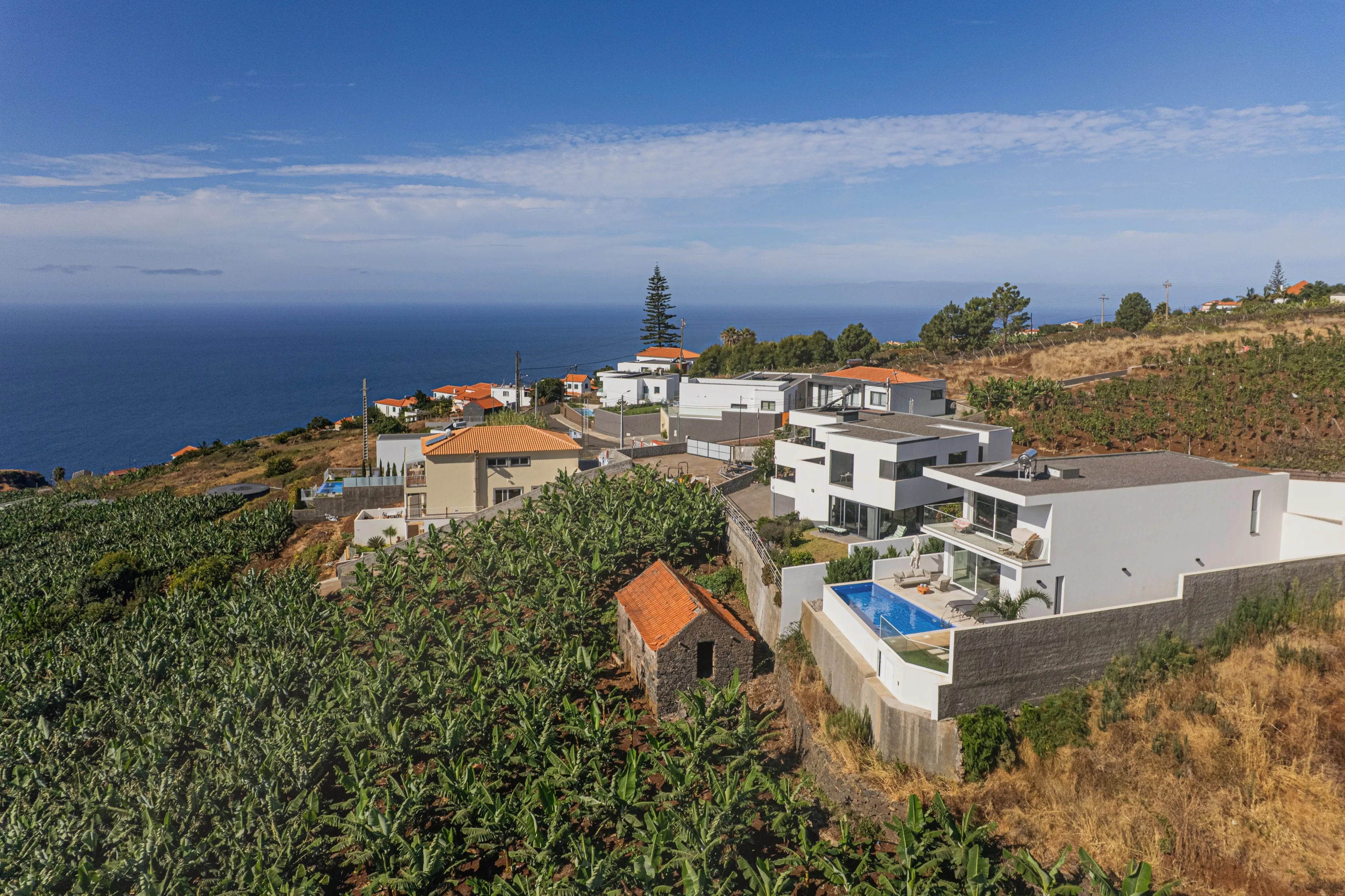 Madeira, banana plantations meeting the Atlantic